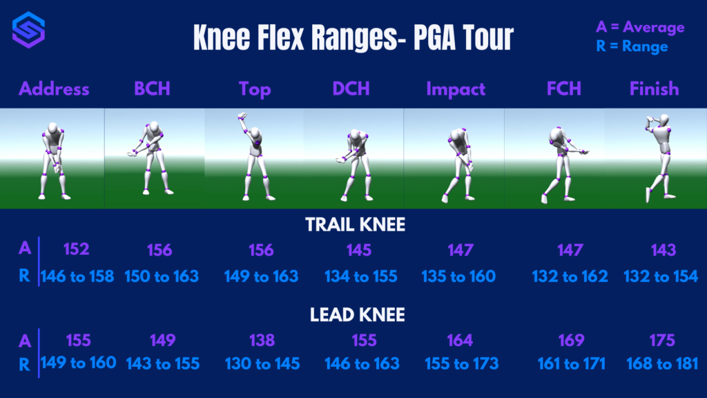 SportsBox 3D- Knee Flex Ranges 